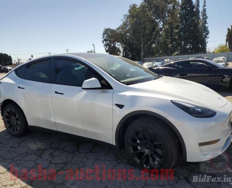 2023 TESLA MODEL Y  ابيض