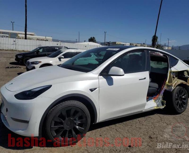 2023 TESLA MODEL Y  ابيض